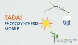 Photosynthesis Mobile Project