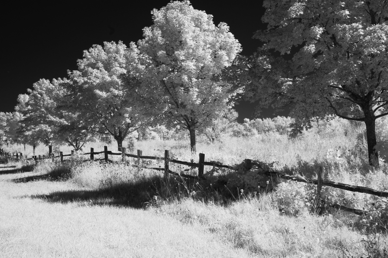 52 - Richard Wunsch | Lines | Infrared Photography -  15x13 | $125