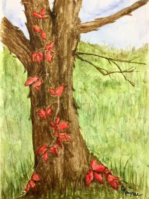 Cari Raynae Jacobson | Virginia Creeper |  Watercolor Ink - 8x10 | $80 - unframed