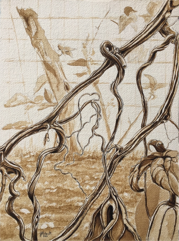 Janice Roberts | Tendrils | Walnut ink and ink - 16x12 | $140