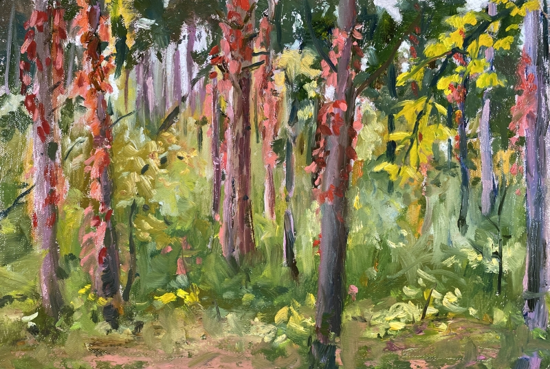 Jean Accola | Creepers on Red Pine Carson Park | Oil Painting - framed | $295