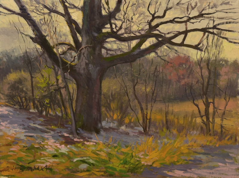 Robert Hodges Bonawitz | Oak | Oil on linen panel - 12x16 | $525