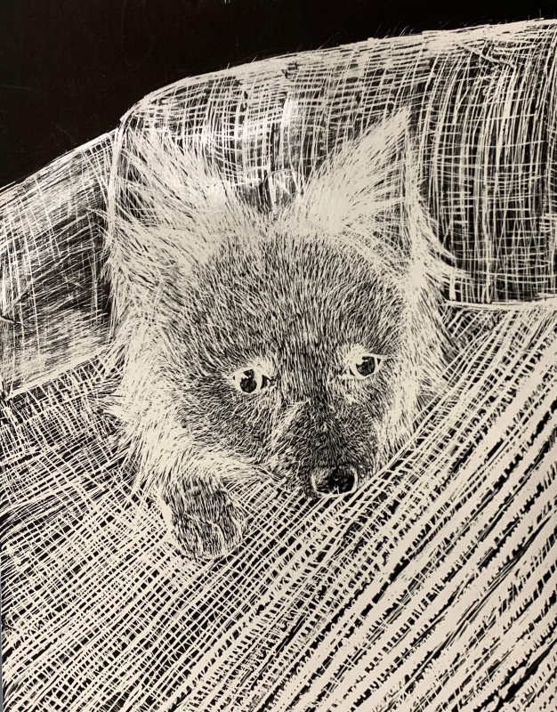 Augusta HS - Eva Verthein - Rusty | Scratchboard - 11x14