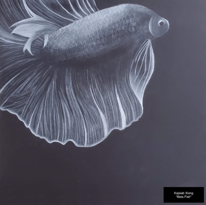 menomonie HS - Kajsiab Xiong - Beta Fish | White Charcoal - 16x16