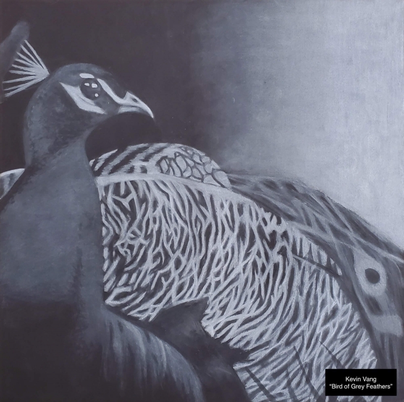 menomonie HS - Kevin Vang - Bird of Grey Feathers | White Charcoal - 16x16