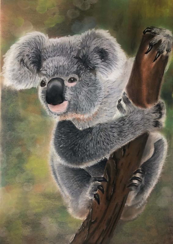 North HS - Sarah Kue - Zoo Life | Pastel - 16x20