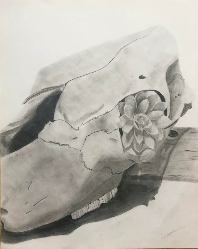 North HS - Tegan Brunner - Still Life | Pencil - 16x20