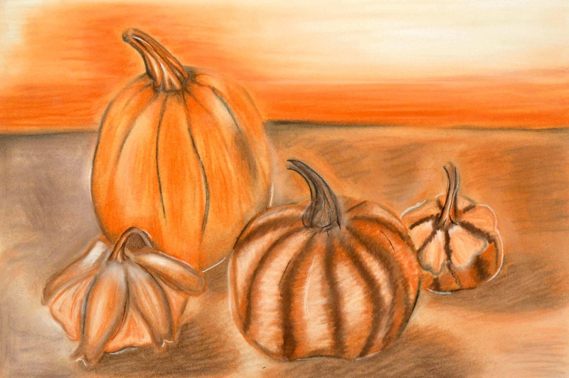 OFSD - Addisyn Koxlien | Pumpkin and Gourd Still-Life | Conte Sticks 12x18