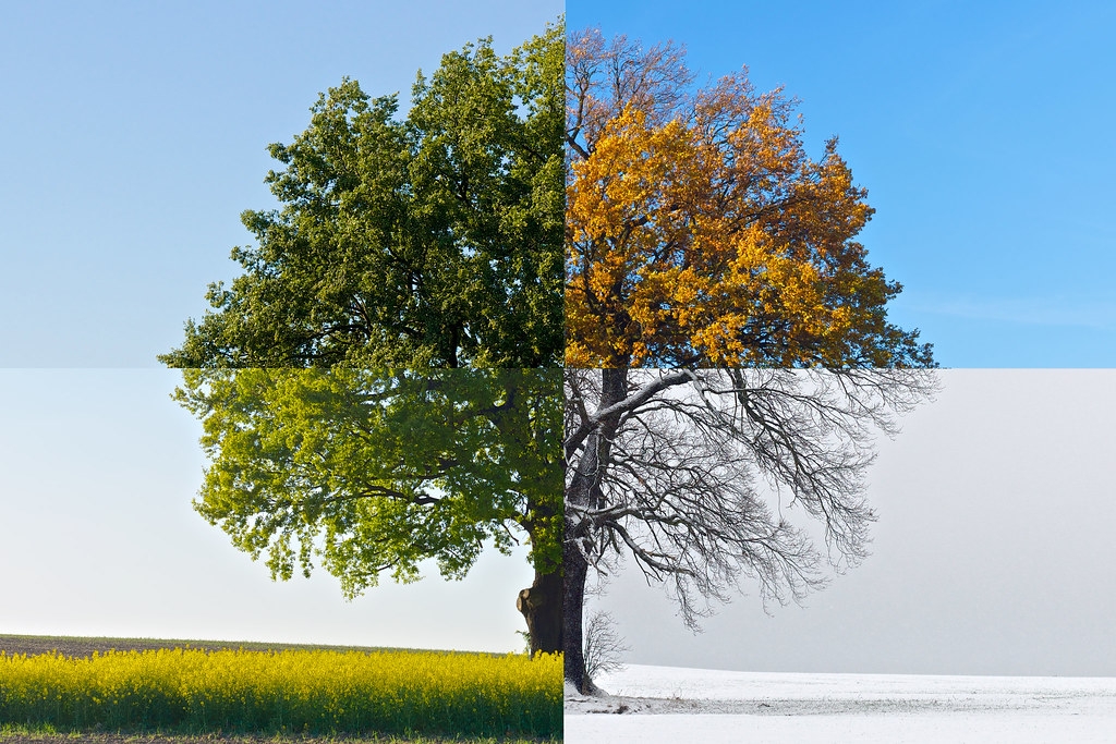 seasons