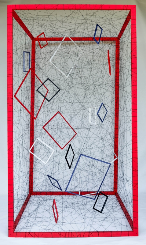 ZANDRA - Symbiosis of the frames | String art - 74x41 | $3000