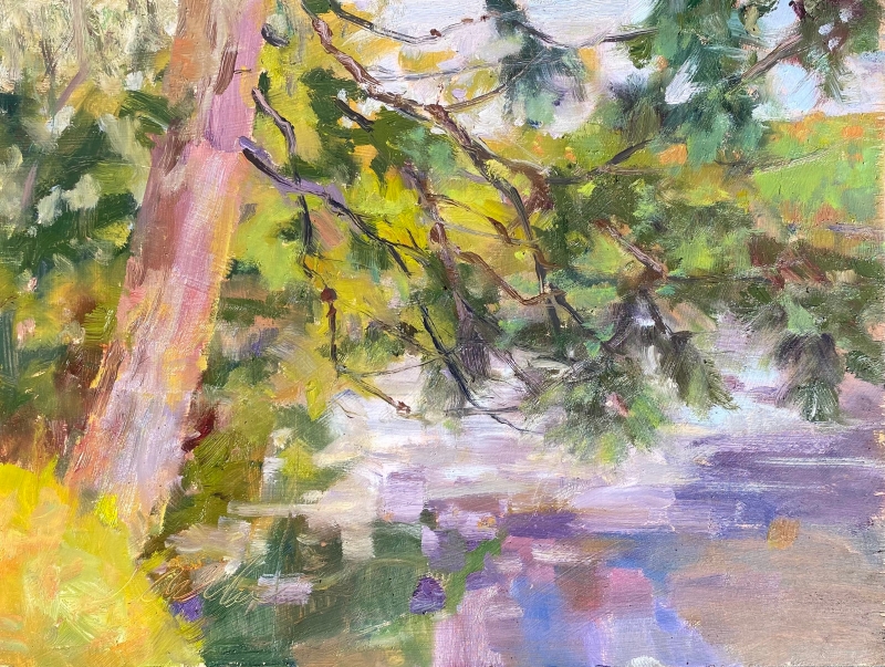 Domer Park Red Pine by Jean Accola - 9 x 12 | $345