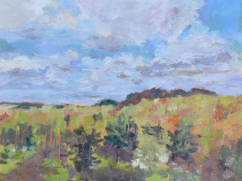 Green and Pink Hills by Jean Accola - 12 x 16 | $395