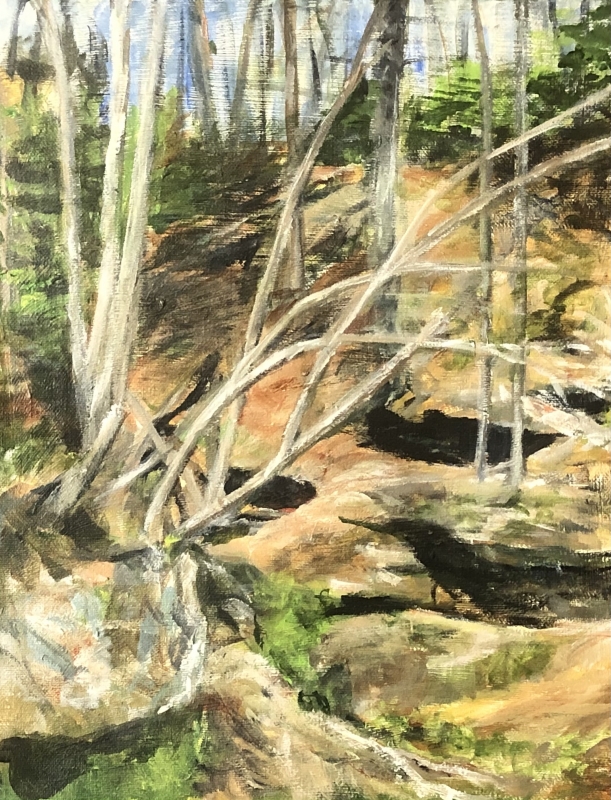 Cave Hill at Irvine Park by Julianne Johnson 11 x 14 | $120