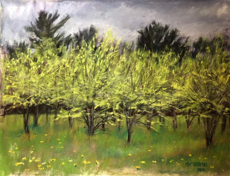 Spring Green Hwy 85 by Maureen K Skroski - 9 x 12 | $350