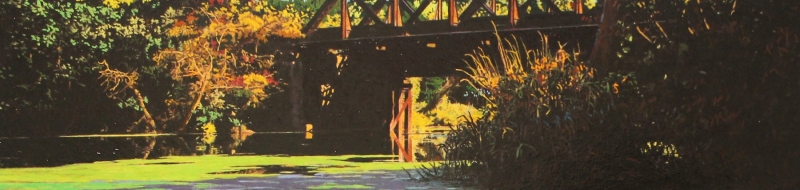 raid-tiit_fall-creek-pond-railroad-bridge