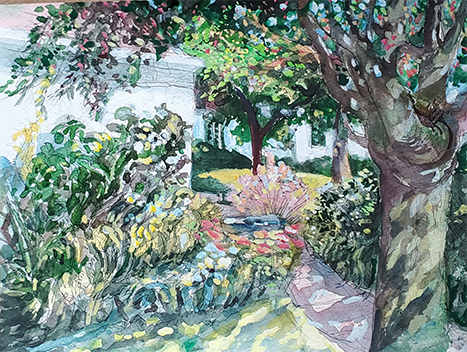 Barbara's Garden by Anders Shafer - 8 x 12 | $125