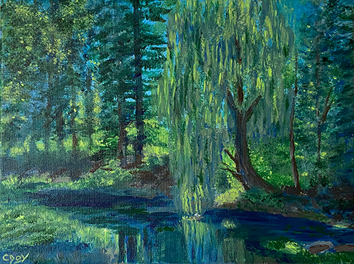 Willow at Rod and Gun Park by Crystal Joy Miller - 9 x 12 | $350