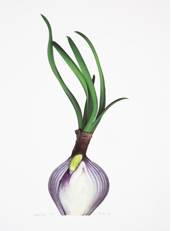 28_larry-stark_purple-onion_2018_17x30_unique-inkjet-print_1400